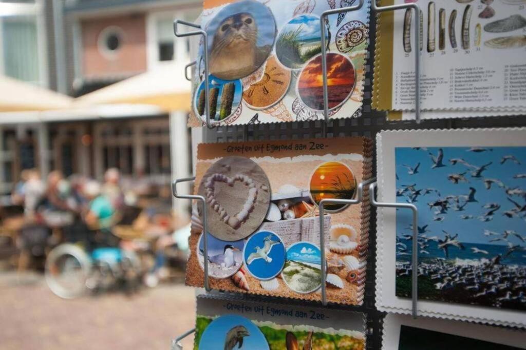 Gastenverblijf Janssen In Schagen Extérieur photo